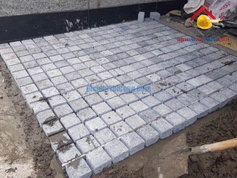 mau-da-lat-san-vuon-1-dichvuthicong