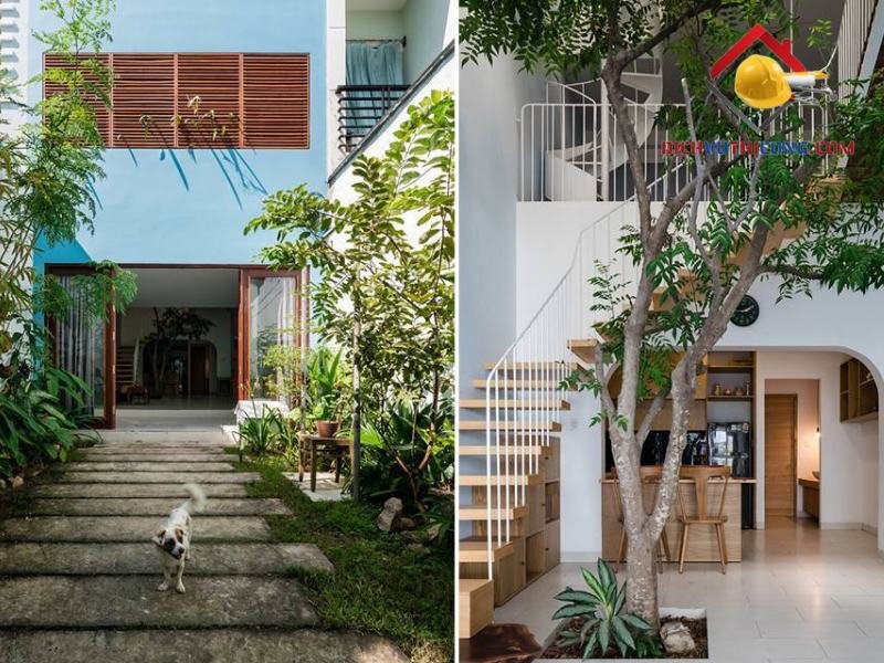 thiet-ke-sua-chua-nha-cu-3-dichvuthicong